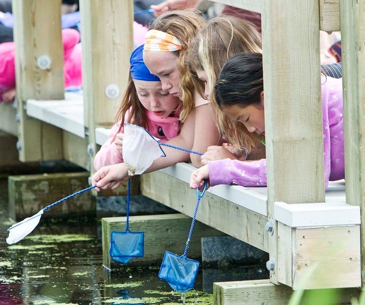 FIELD TRIP – Grade 5 students from Wild Rose Elementary – Devon Weiss