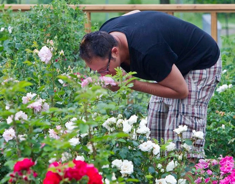 SNIFF TEST – The city is seeking entries for its second annual Cultivate Your Front Yard contest.