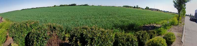 LAND DEAL – Melcor Developments is close to sealing a deal to acquire this land directly north of Future Shop on the west side of St. Albert Trail. The company isn&#8217;t