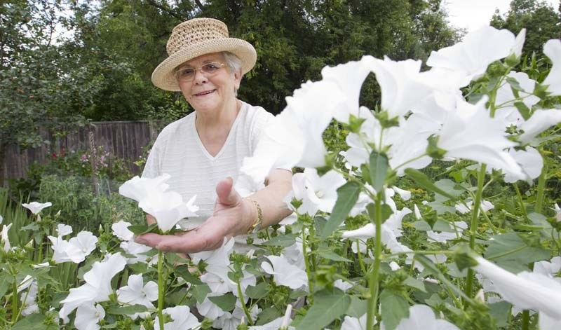 The St. Albert and District Garden Club is hosting their 31st Annual Flower and Produce Show