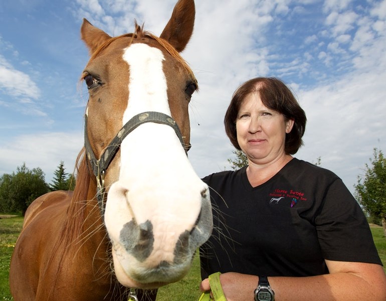 HORSE SENSE – Helen Lomas of Horse Sense is looking for a few equine-oriented volunteers.