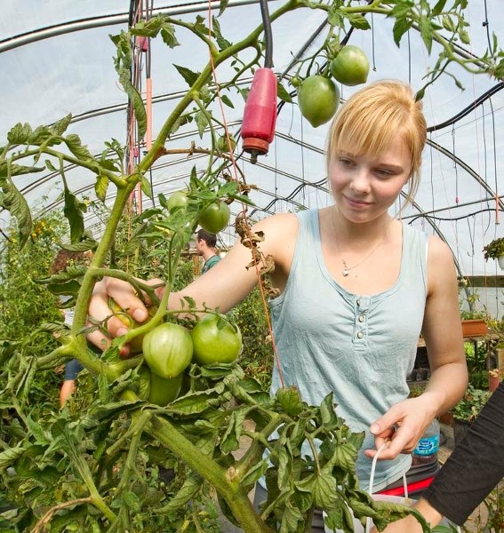 URBAN FARMERS — Shoshana Laidlaw