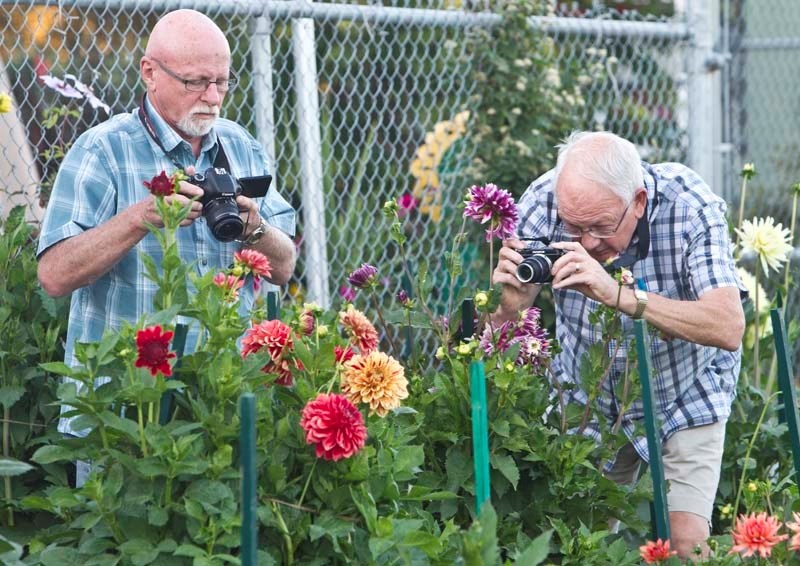 SHARPSHOOTERS – Derek McCune (left) and Gerry Goodall practice their photography skills at the St. Albert Botanic Park after taking in a free photography workshop with local