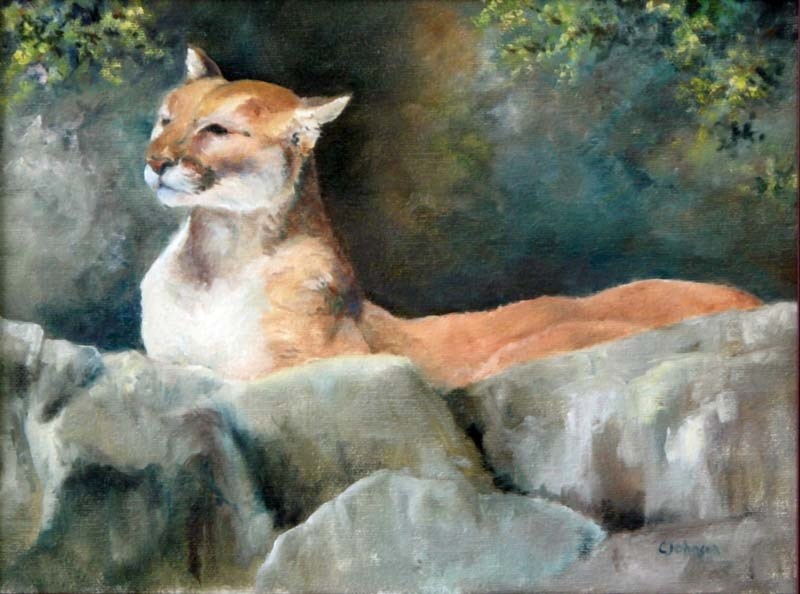 CAT TIME – Basking by Carol Johnson.