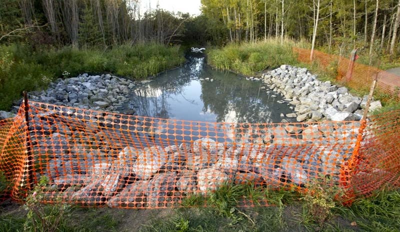 MYSTERY SUBSTANCE – The city is still awaiting test results after a spill near the Sturgeon River late last month.