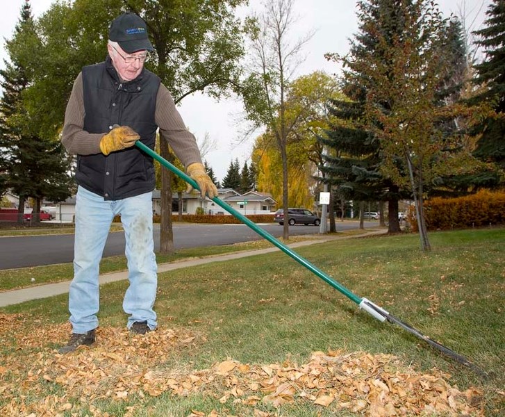 FALL CLEANUP – St. Albert resident George Donald rakes the fallen leaves from his front lawn in Forest Lawn on Thursday.