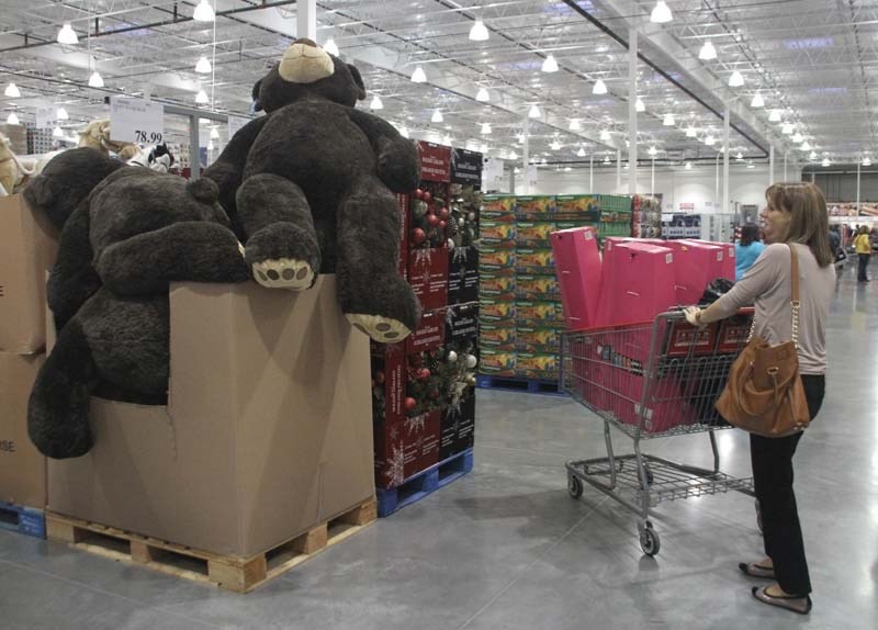 DEAL A BRUIN? – A shopper sizes up a large teddy bear at the St. Albert Costco on Thursday morning shortly after the store opened its doors to the public for the first time.