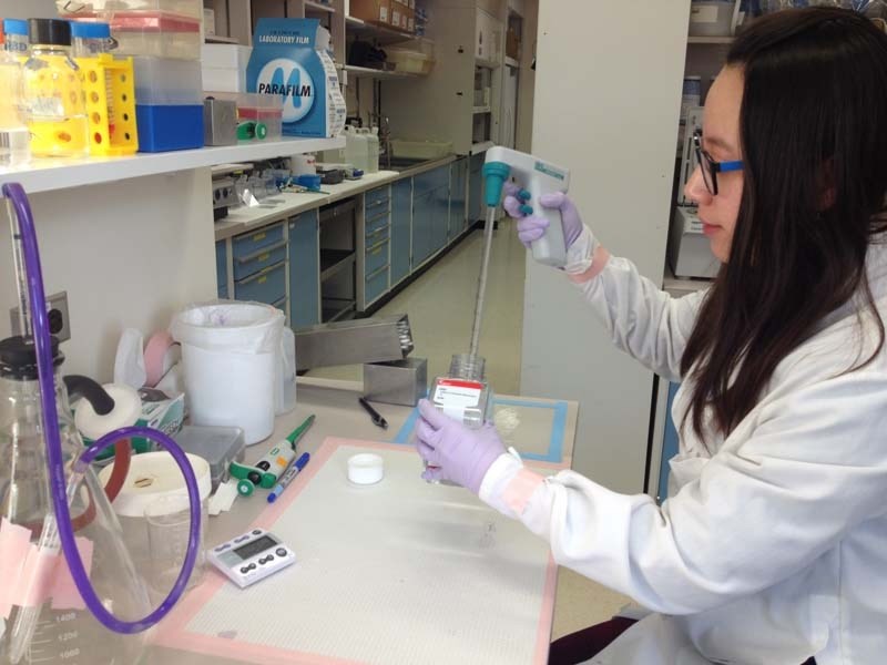 Ning Yang conducts tests in Dr. Ing Swie Goping&#8217;s cancer research lab. Goping&#8217;s research is partially funded by a grant from the Canadian Breast Cancer Foundation.
