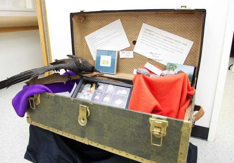ONE MAN&#8217;S TRASH – A steamer trunk of treasures from the upcoming VASA exhibit.