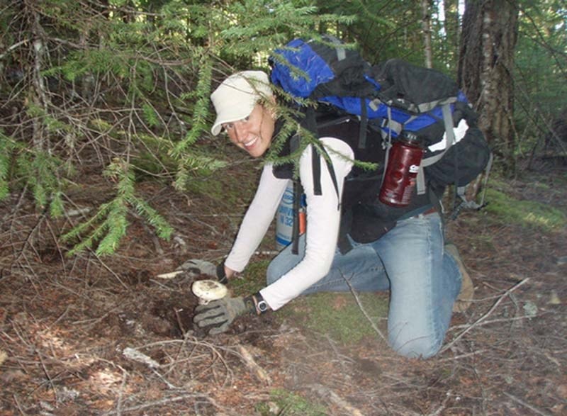 WILD DELICACY – Michelle Whitehead plucks a wild mushroom from the earth in B.C.