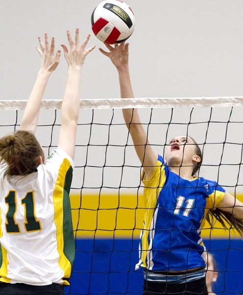 REACH FOR THE TOP &#8211; Alexis Anderson makes contact with the ball for the St. Albert Skyhawks against the Memorial Marauders in Wednesday&#8217;s division two junior