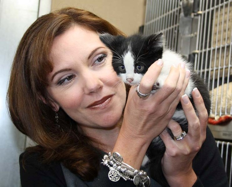 Edmonton Humane Society spokesperson Shawna Randolph said adopting a pet for Christmas can work