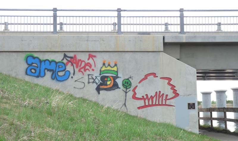 TAGGED – Graffiti marks the Ray Gibbon Drive bridge.