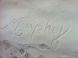 Who is Murphy?
