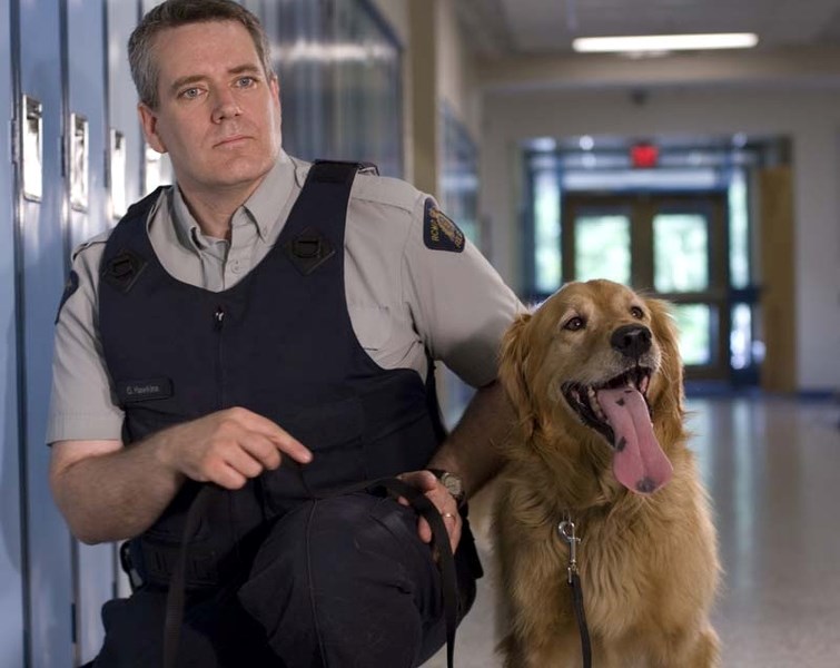 WORKAHOLIC – Dodger during his active duty days with his RCMP handler Const. Greg Hawkins.