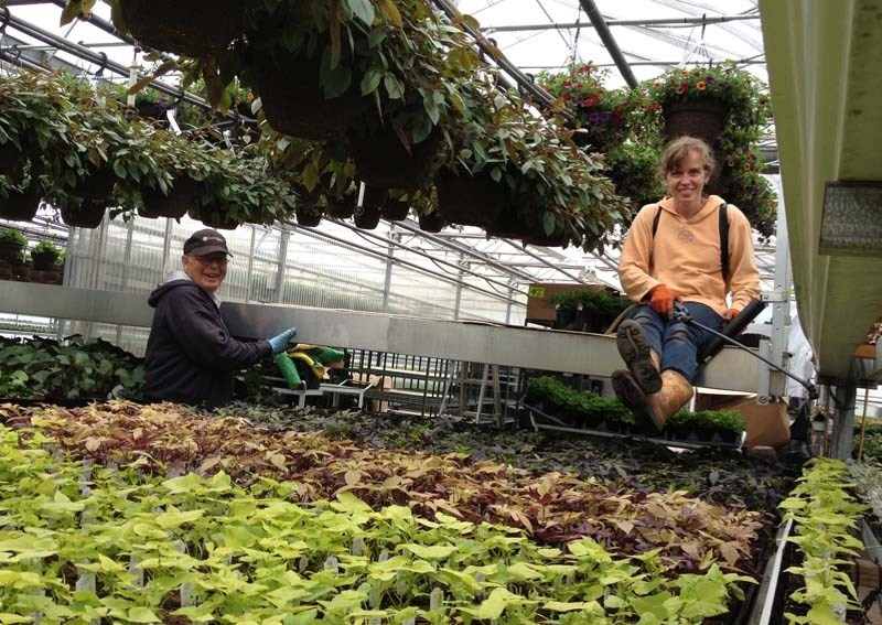 BIG ANNIVERSARY – One of the Edmonton-area&#8217;s oldest greenhouse families is celebrating a 95-year-old tradition