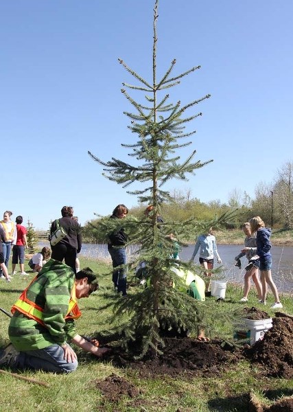 ARBOREAL CHAMPIONS – Local residents get a chance to help the local eco-system with the upcoming Clean and Green RiverFest.