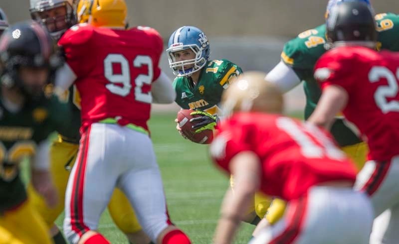 POCKET PRO – Paul Kane Blues quarterback Cory Knott (17)