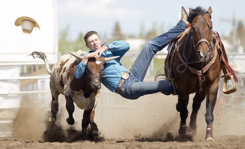 ROUGH RIDE – Riley Flahr of Ponoka loses his cowboy hat while preparing to take down a steer during Saturday&#8217;s steer wrestling competition at the Rainmaker Rodeo.