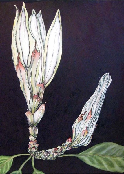 PUTTIN&#8217; ON THE WORKS – Allison Argy-Burgess is one of several St. Albert artists whose works will be displayed at The Works.