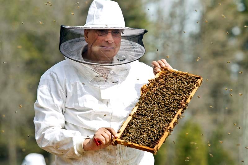 MR. BEE – St. Albert resident Medhat Nasr shows off a rack of live honeybees from one of the many experimental hives he oversees at Alberta Agriculture&#8217;s Crop