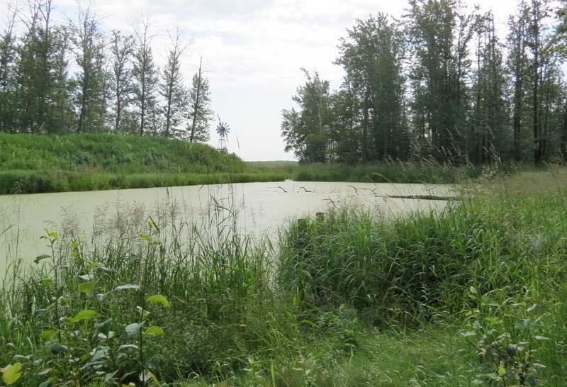 LAND CONSERVATION – Boisvert&#8217;s GreenWoods is an 80-acre area north of Morinville that was recently donated to the Edmonton and Area Land Trust by St. Albert