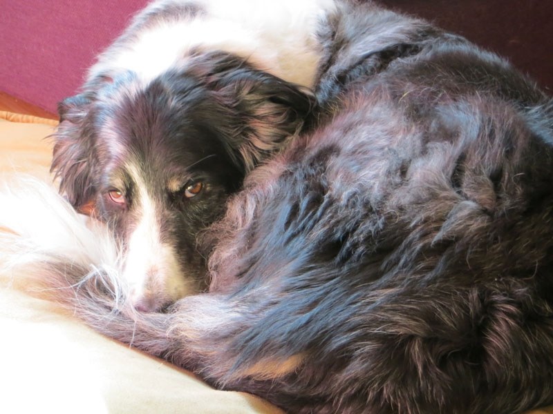 NAP TIME – Teegan