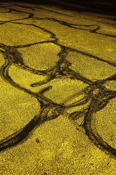 TRUE EYE – French-born Florence Debeugny now lives in Vancouver. She brings a collection of night photography shots featuring paved road surfaces.