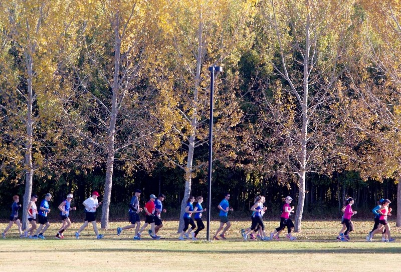 FALL RUN &#8211; Runners make tracks on the Red Willow trail at last year&#8217;s Fall Challenge in St. Albert. The 12th annual Fall Challenge starts Sunday at 8 a.m. for the 