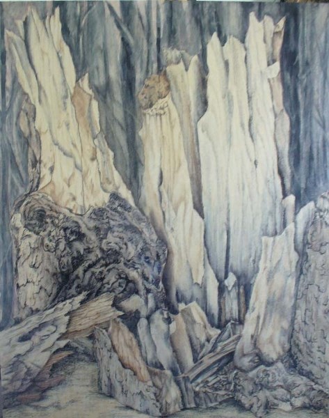 – Works by Carroll Charest are on display at the Kaasa Gallery in an exhibit inspired by the North Saskatchewan River.