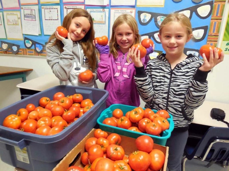 SO MANY TOMATOES – Bertha Kennedy Elementary students show off some of the 150 pounds of tomatoes they harvested from their school garden this year. Bertha Kennedy won in the 