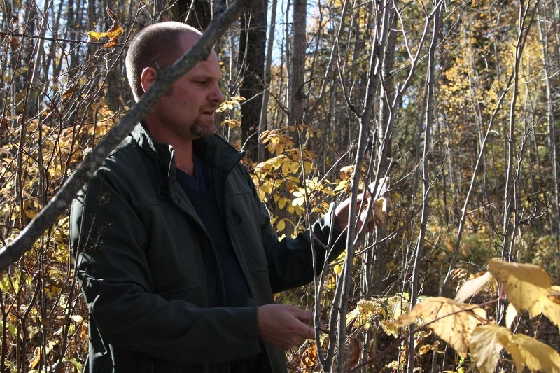 Expert forager Eric Whitehead takes a tour through Lois Hole Provincial Park to discover what edibles grow wild in the St. Albert area. Those include fiddleheads