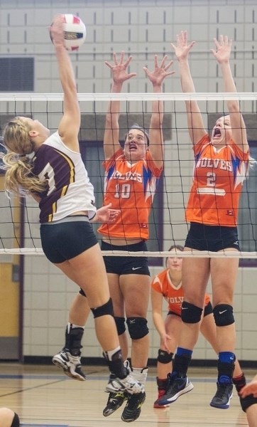 REACH FOR THE TOP – Larissa Van Brabant (10) and Hailey Cornelis of the Morinville Lady Wolves leap to block the ball in pool A action against the Wetaskiwin Sabres at the