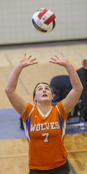 SETTING UP FOR PROVINCIALS – Dana Van Brabant sets the ball for the Morinville Wolves