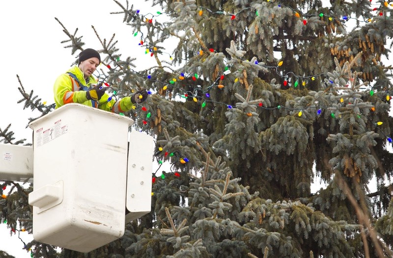 City worker Mark Seargent uses a bucket lift to put the Christmas lights on one of the main tree&#8217;s in front of the St. Albert Community Hall along Perron Street