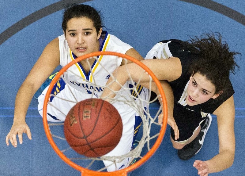 SWISH – Payton McNeill and the St. Albert Skyhawks tip off the metro Edmonton league season Monday in Leduc against the Tigers at 5 p.m. The 2014 metro division one finalists 