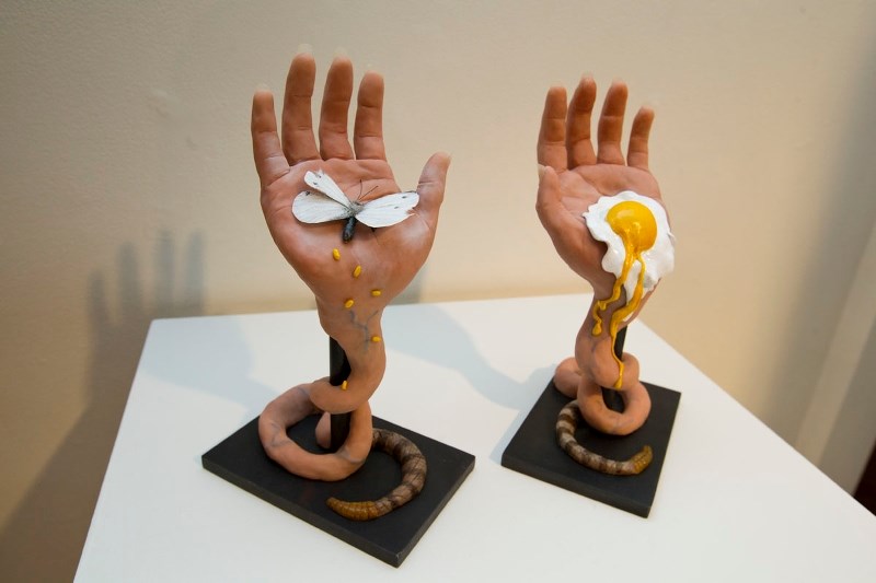A new exhibit at the Art Gallery of St. Albert features the varrying styles of Patrick Bulas