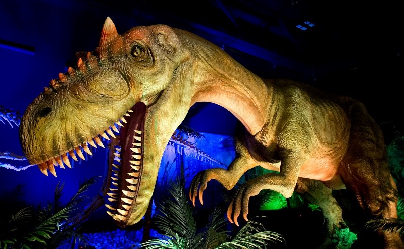 FULL SIZE REPLICA – A full-size
