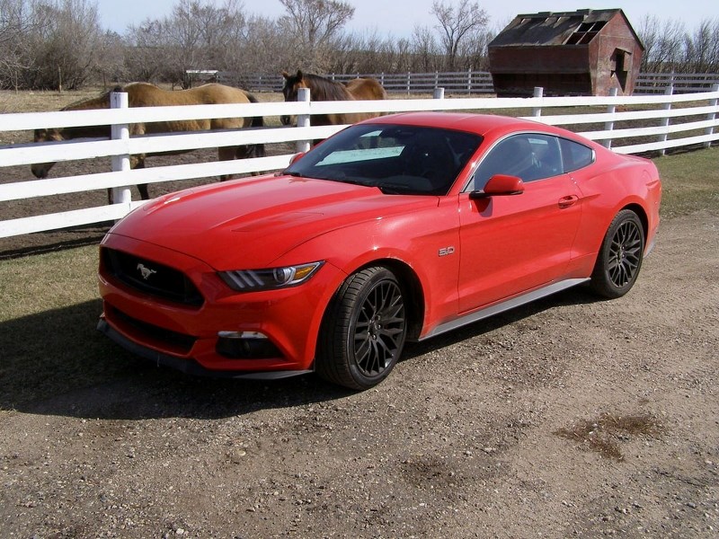 The 2015 Mustang GT Premium is a true muscle car.