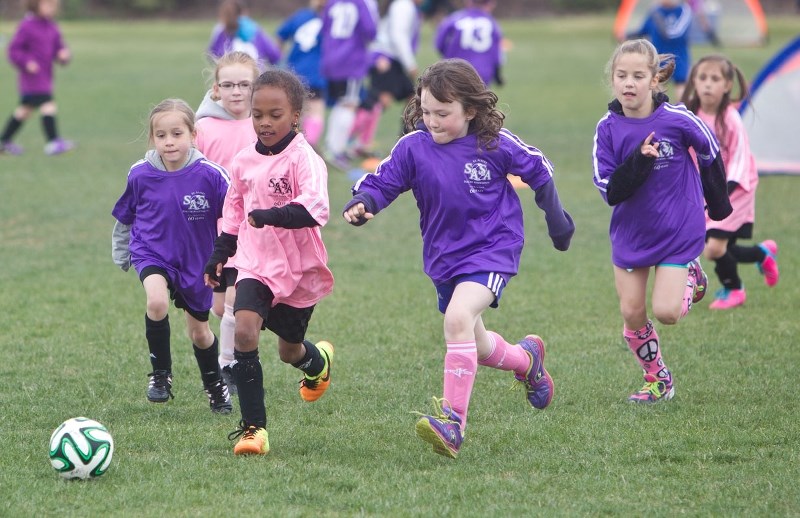 BALL OF FUN &#8211; Girls in the U8 division kicked the ball around during the recent St. Albert Soccer Association soccerfest weekend at Riel Park. SASA hosted the U8 season 