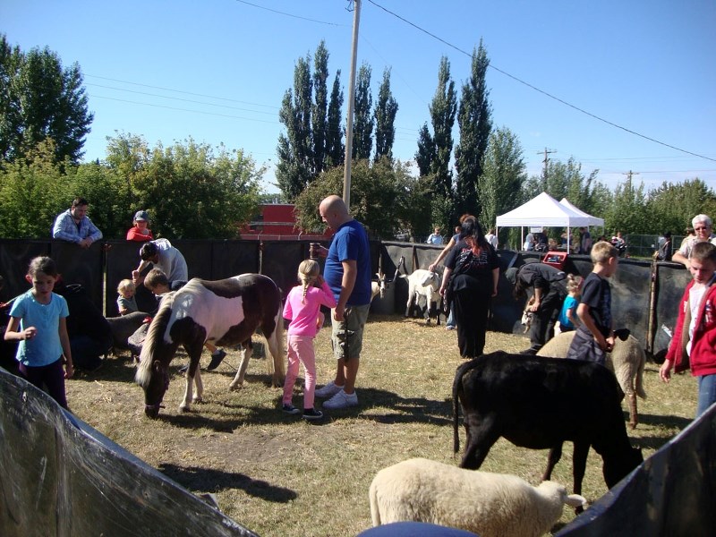 Get out and enjoy harvest fest this weekend.