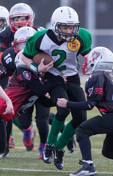RIDER PRIDE – Jacob King ran wild for five touchdowns as the St. Albert Riders repeated as Capital District Minor Football Association peewee Tier 2 champions in