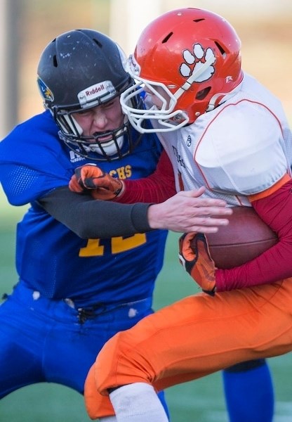 BALL HAWK – Sam Cuciz of the St. Albert High Skyhawks goes for the football while tackling a McNally Tiger in the recent Miles division two final in the metro Edmonton