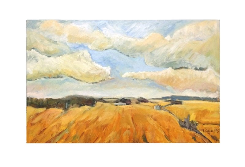 Visual Arts Alberta is hosting a new show and work by Tom Gale is just a little of what viewers can expect.
