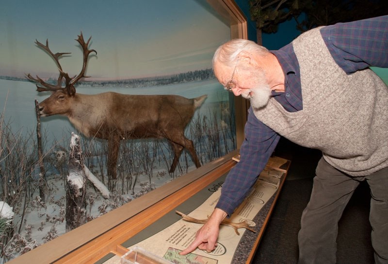THIS IS THERE – Retired artist Ludo Bogaert points out the location in Alberta depicted in this diorama at the Royal Alberta Museum Thursday. Bogaert constructed this and