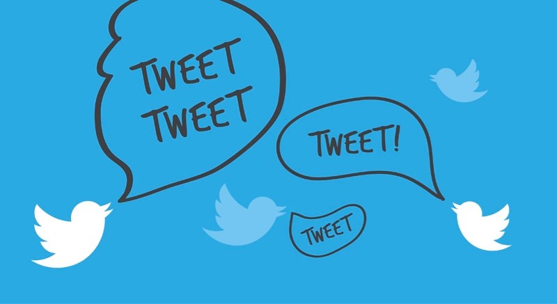 Who are Edmonton&#8217;s social media gurus?
