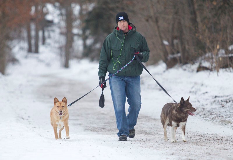 Rob Mcnally walks his two dogs down the trail in Forrest Ravine on Friday.