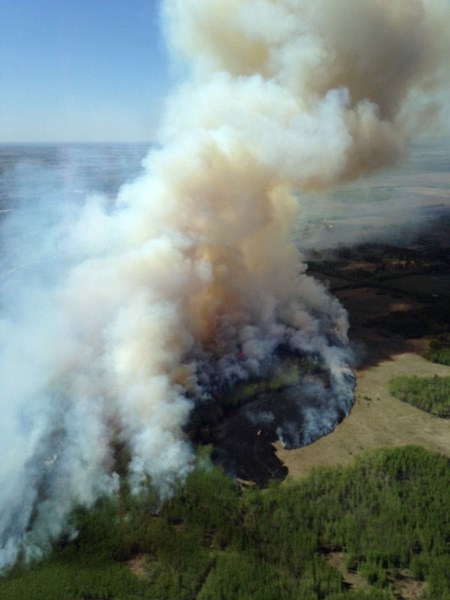 While Sturgeon County doesn&#8217;t fall within the province&#8217;s Forest Protection Area