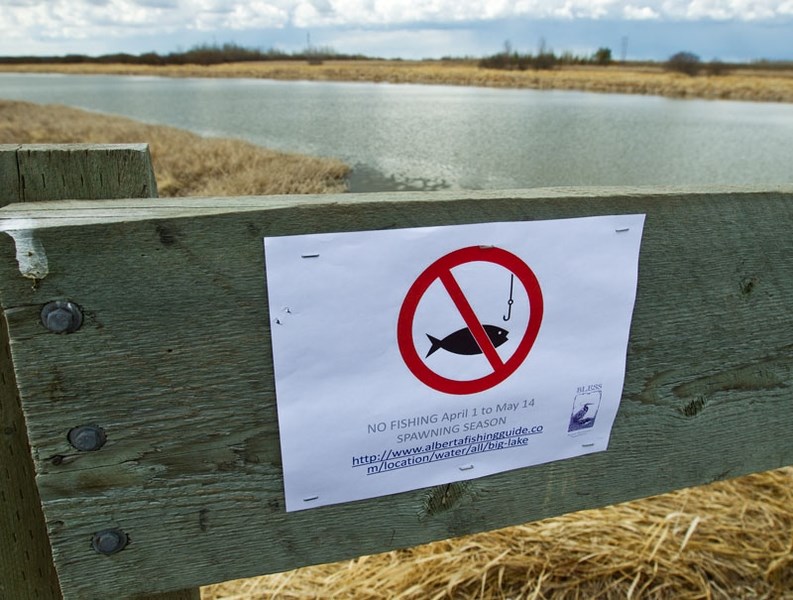 NO FISHING â€” The Big Lake Environment Support Society posted these signs along the Sturgeon this week after several people were fined for fishing in it out of season. The