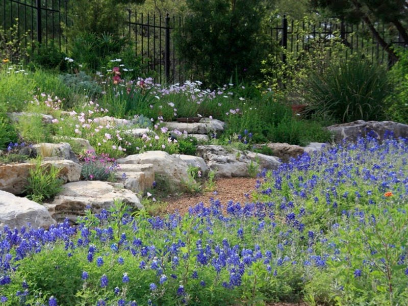 A careful xeriscaping can create a garden of beauty.